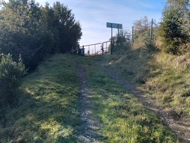 Parcela con casa Liucura Isla Lemuy Chiloé