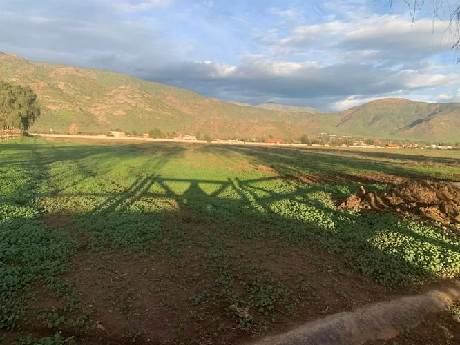 SITIO 3 paños de 3, 5 y 8 HA c/u urbano colindante con salida norte de Las Brisas de Chicureo