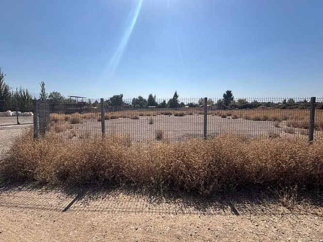 TERRENO INDUSTRIAL, Sector El Taqueral (169042)