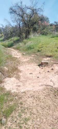 HERMOSA PARCELA, VALLE  DEL PRINCIPAL,PIRQUE (169030) - Imagen 7