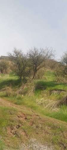 HERMOSA PARCELA, VALLE  DEL PRINCIPAL,PIRQUE (169030) - Imagen 9