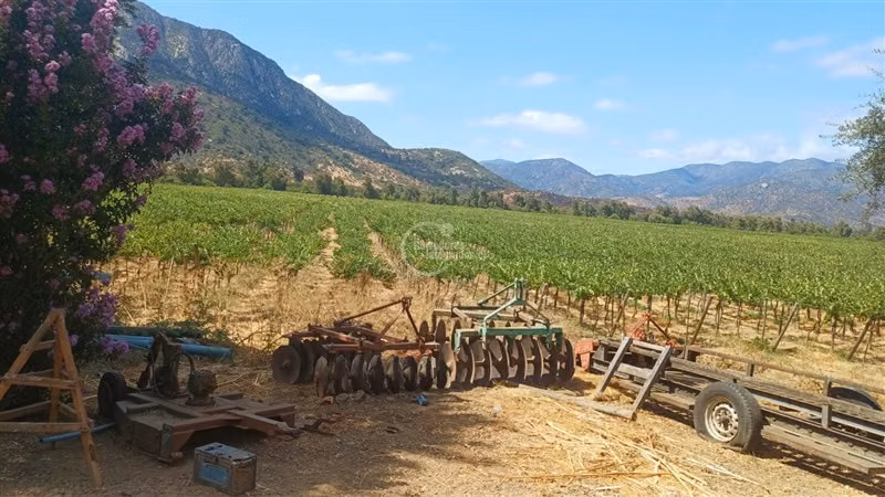 Agrícola en venta en Alhué