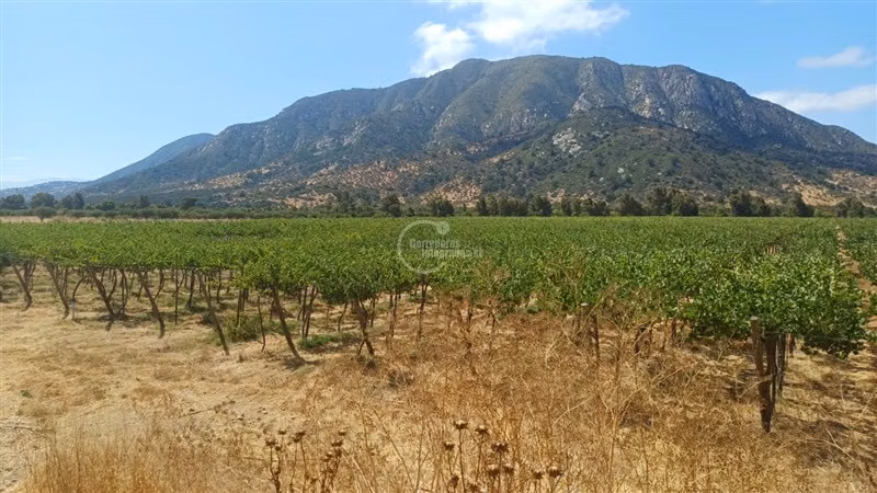 Agrícola en venta en Alhué