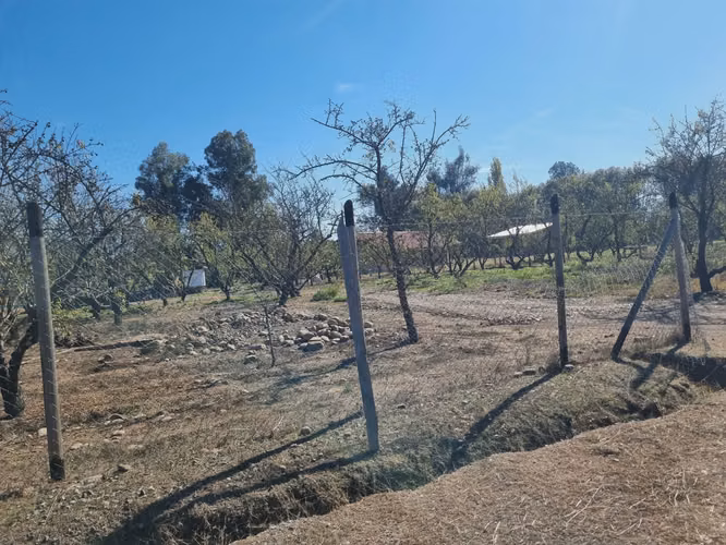 Excelentes Parcelas Agrícolas sector "San Jorge" Comuna de Rengo.-