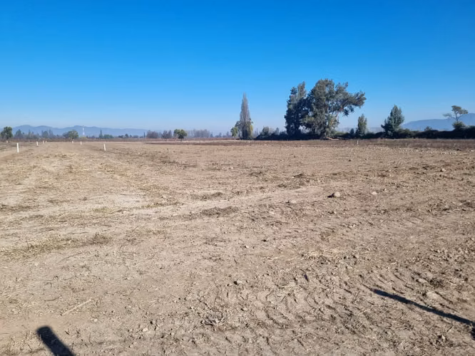 Excelentes Parcelas Agrícolas sector "San Jorge" Comuna de Rengo.-