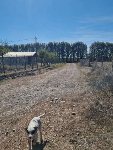 Excelentes Parcelas Agrícolas sector "San Jorge" Comuna de Rengo.-
