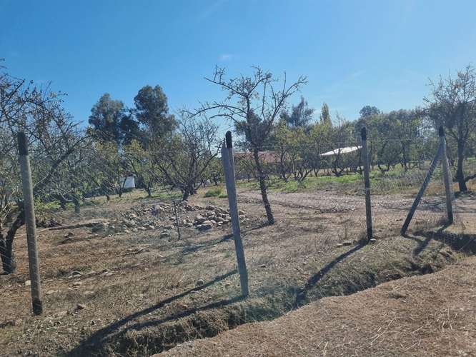 Excelentes Parcelas Agrícolas sector "San Jorge" Comuna de Rengo.-