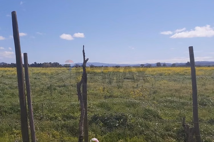 Tu oasis en lolol: terreno de 5000m² en venta