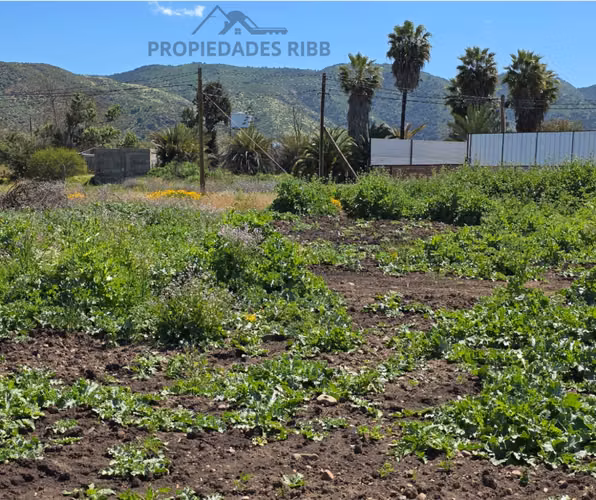 Sitio en Venta en EL Melón - Imagen 4