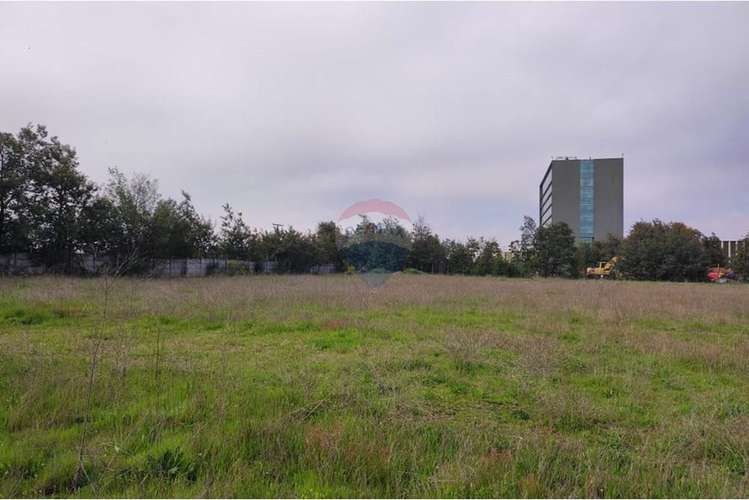 Venta de terreno urbano de 10.000m2 - Imagen 6