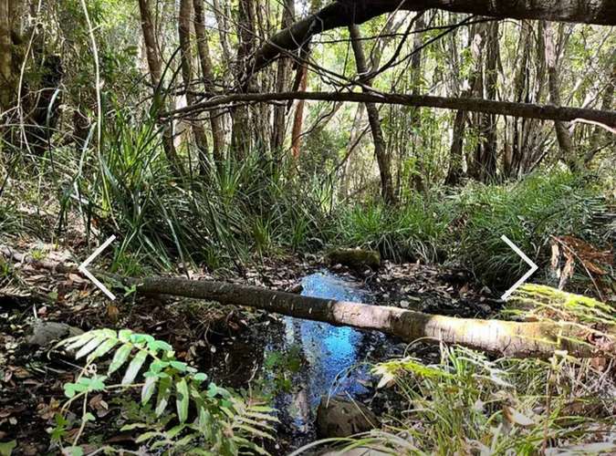 Naturaleza y Tranquilidad en Un Solo Lugar (169118)
