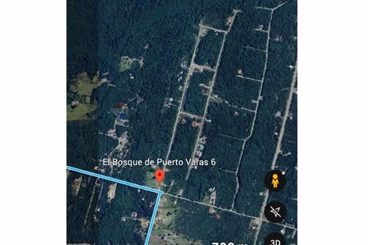 Parcela con bosque nativo en puerto varas