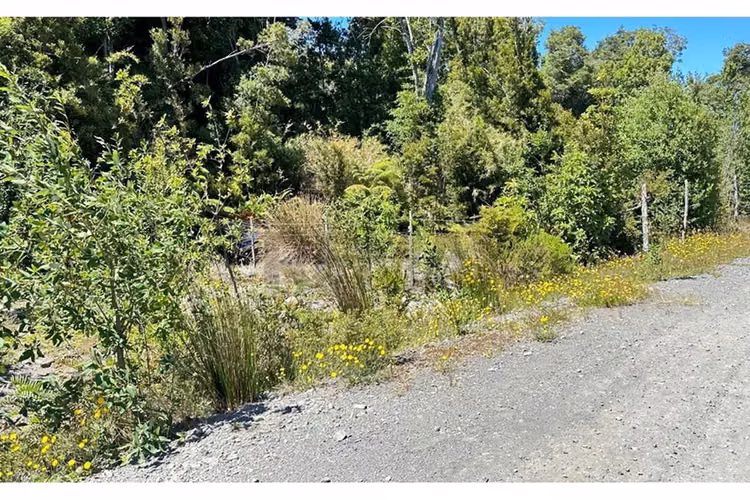 Parcela con bosque nativo en puerto varas
