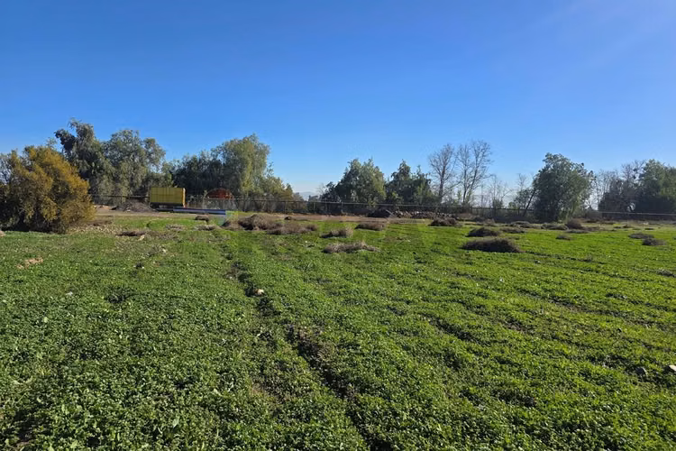 Oportunidad terreno en las brisas de chicureo.