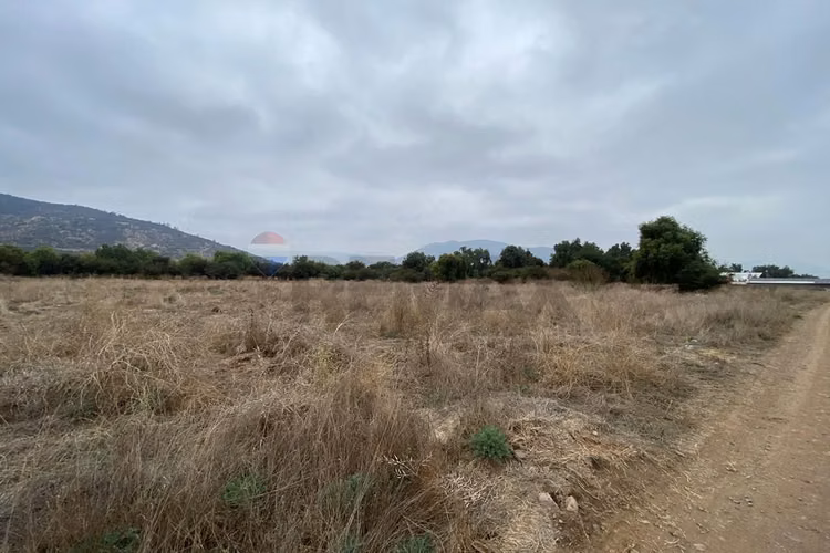 Parcela a los pies del embalse