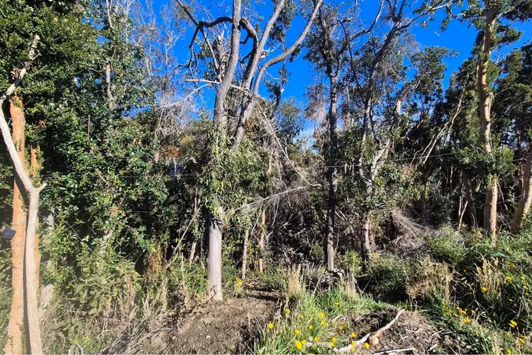 Lote 3,6 ha orilla de mar cohen, quinchao unico!