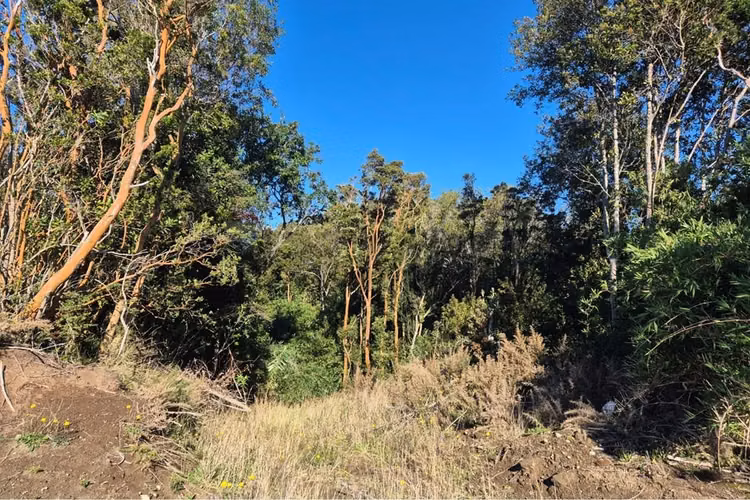 Lote 3,6 ha orilla de mar cohen, quinchao unico!