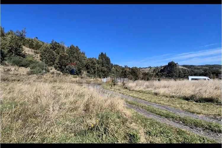 Lote 3,6 ha orilla de mar cohen, quinchao unico!
