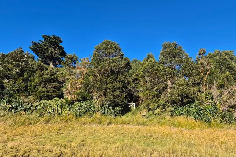 Lote 3,6 ha orilla de mar cohen, quinchao unico!