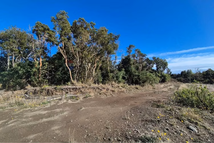 Lote 3,6 ha orilla de mar cohen, quinchao unico!