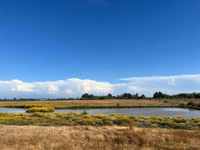Se vende terreno agrícola – Comuna de Ñiquén, Provincia de Ñuble