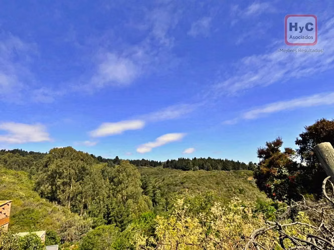 Parcela 10.000 m² Hacienda Reñaca | Subdivisible en lotes 500 m²