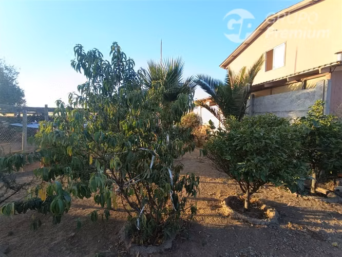 Inversión con Dos Casas y Local en Rinconada