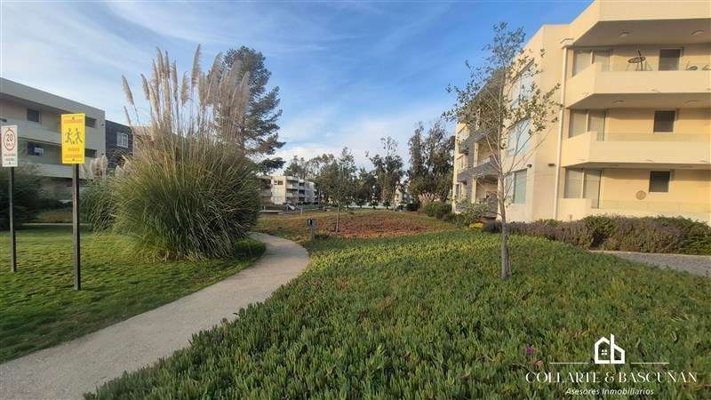 Amplio depto 3D2B, Algarrobo I Terraza 29 mts I Condominio