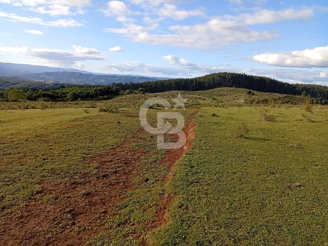 Campo con Gran Potencial  de Inversión en Osorno.