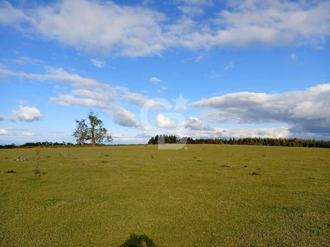 Campo con Gran Potencial  de Inversión en Osorno.