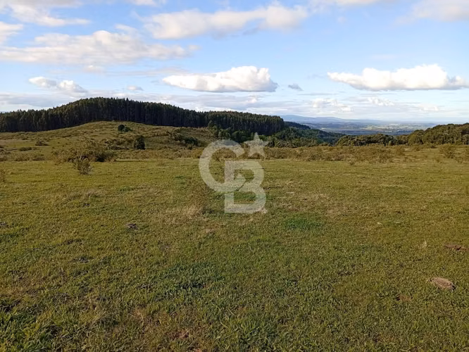 Campo con Gran Potencial  de Inversión en Osorno.