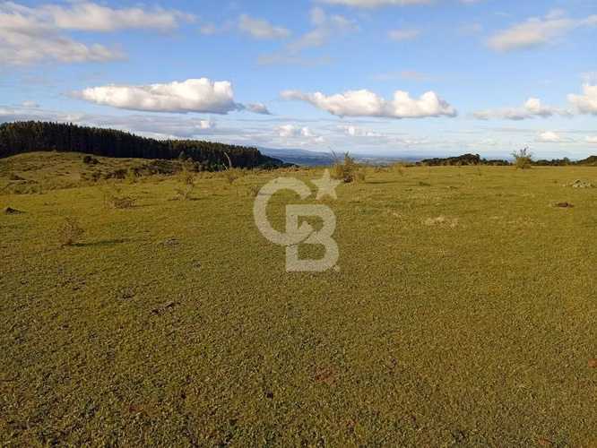 Campo con Gran Potencial  de Inversión en Osorno.