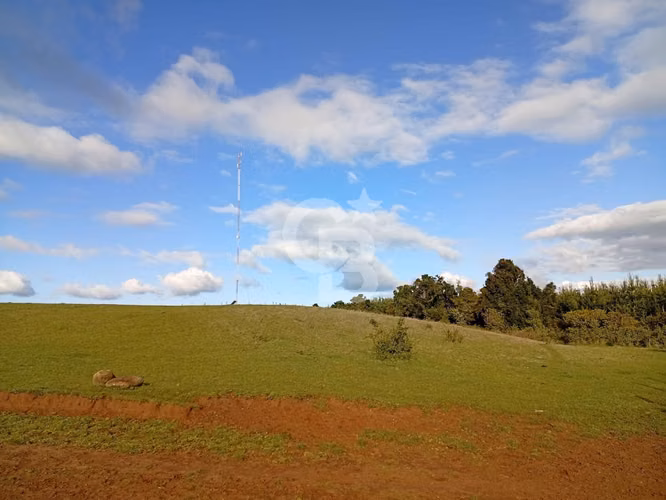 Campo con Gran Potencial  de Inversión en Osorno.