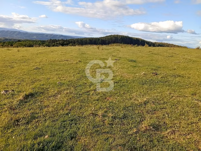 Campo con Gran Potencial  de Inversión en Osorno.