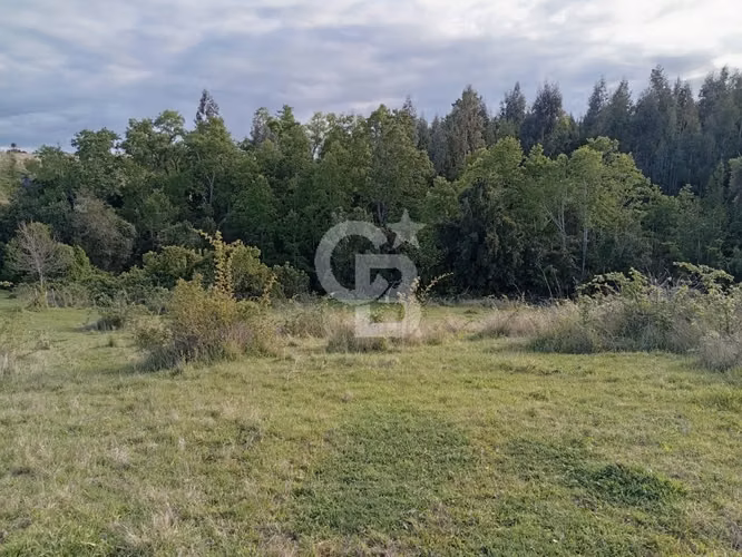 Campo con Gran Potencial  de Inversión en Osorno.