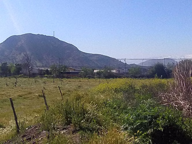 Metrotrén Cinco Pinos, 55.700 m2 urbano (169197)