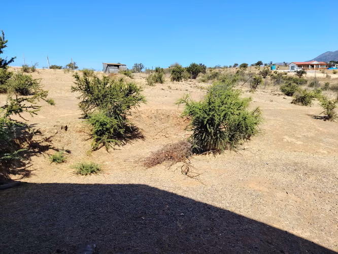 ARRIENDO DOS CASAS EN MEDIA HECTAREA