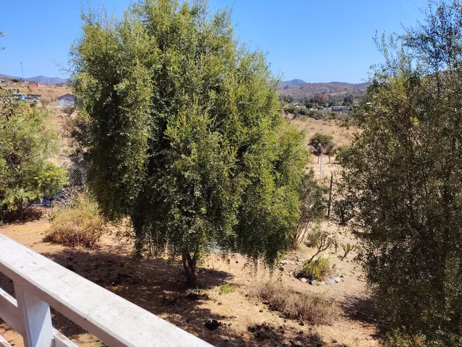 ARRIENDO DOS CASAS EN MEDIA HECTAREA