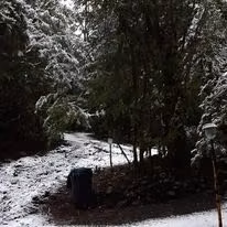 VENTA PARCELA 11000MTS Panguipulli
