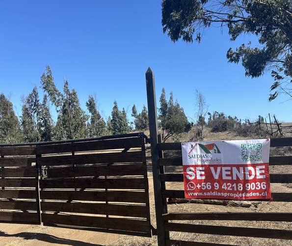 vendo desde 1000 metros terreno en Sector de San Ramon ,  por camino Las Gaviotas .