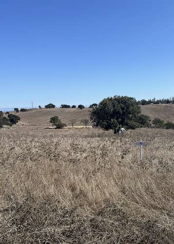 vendo desde 1000 metros terreno en Sector de San Ramon ,  por camino Las Gaviotas .