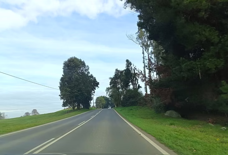  EN VENTA: Parcela con Vista al Volcán Osorno en Puerto Octay – Sector Camino Crucero