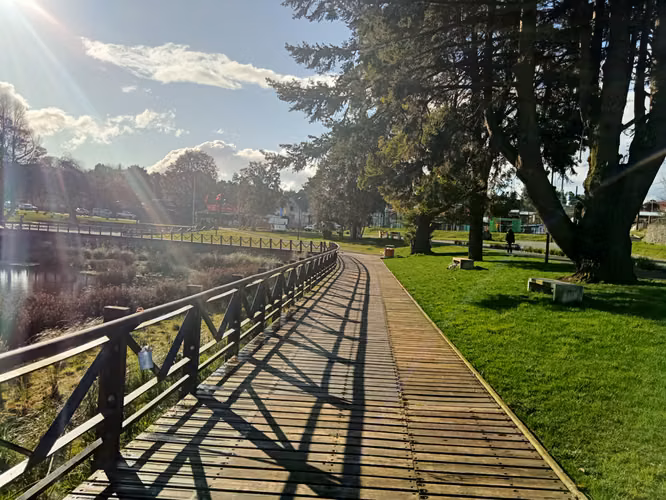  EN VENTA: Parcela con Vista al Volcán Osorno en Puerto Octay – Sector Camino Crucero