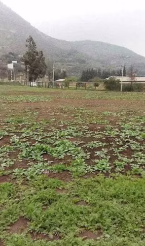 Terreno Industrial Portezuelo Chicureo (169302) - Imagen 14