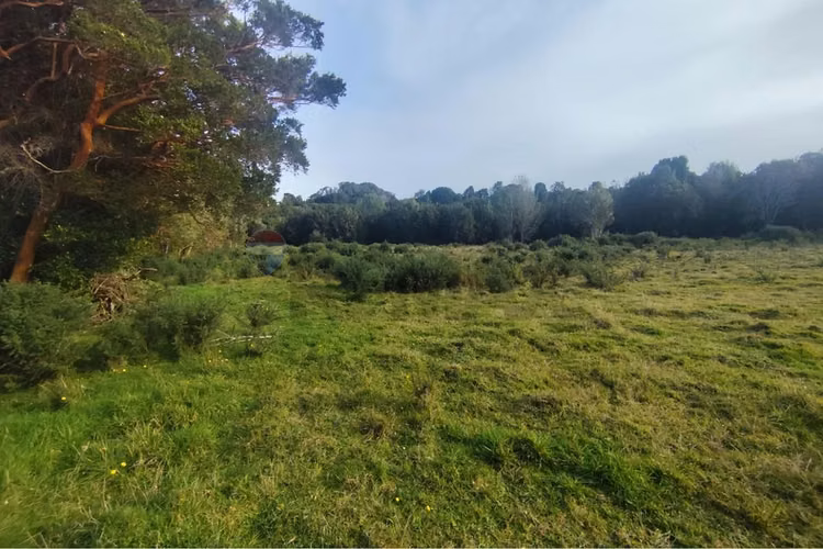 ¡invierte en tu paraíso en chiloé!
