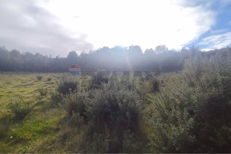 ¡invierte en tu paraíso en chiloé!