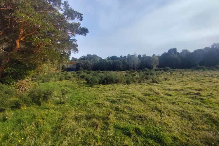 ¡invierte en tu paraíso en chiloé!