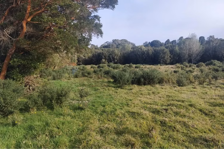 ¡invierte en tu paraíso en chiloé!