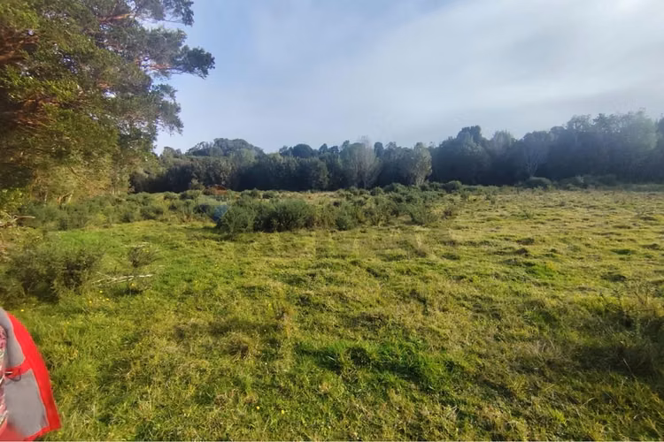 ¡invierte en tu paraíso en chiloé!