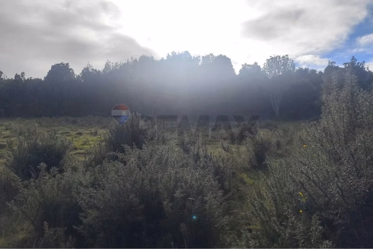 ¡invierte en tu paraíso en chiloé!